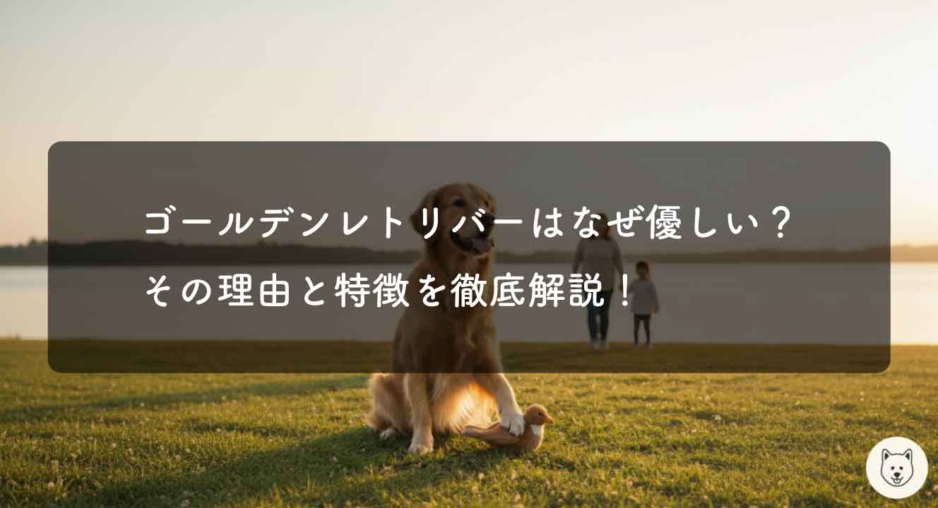 ゴールデンレトリバーはなぜ優しい？その理由と特徴を解説