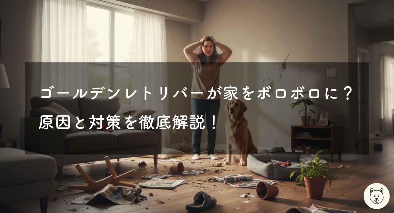 ゴールデンレトリバーが家をボロボロに？原因と対策を解説