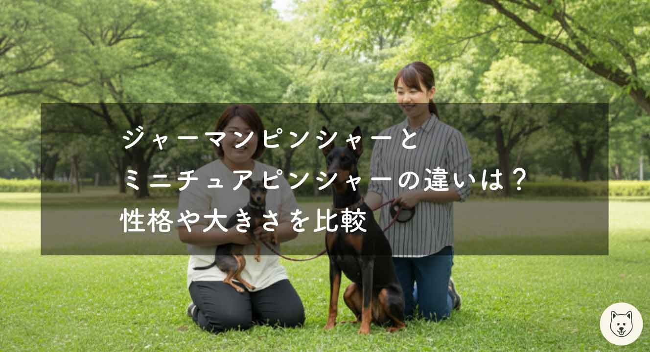 ジャーマンピンシャーとミニチュアピンシャーの違いは？性格や大きさを比較