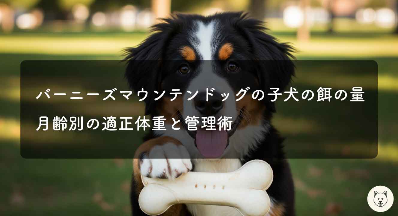 バーニーズ子犬の餌の量｜月齢別の適正体重と管理術
