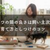 チワワの頭の良さは飼い主次第！賢い育て方としつけのコツ