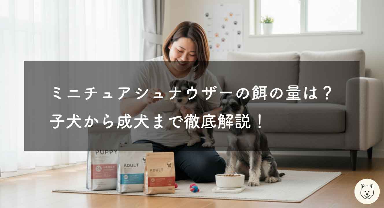 ミニチュアシュナウザーの餌の量は？子犬から成犬まで解説