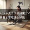 ミニピンの太りすぎ対策ガイド！理想体重と管理法