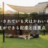 外飼いされている犬はかわいそう？飼い主ができる配慮と注意点