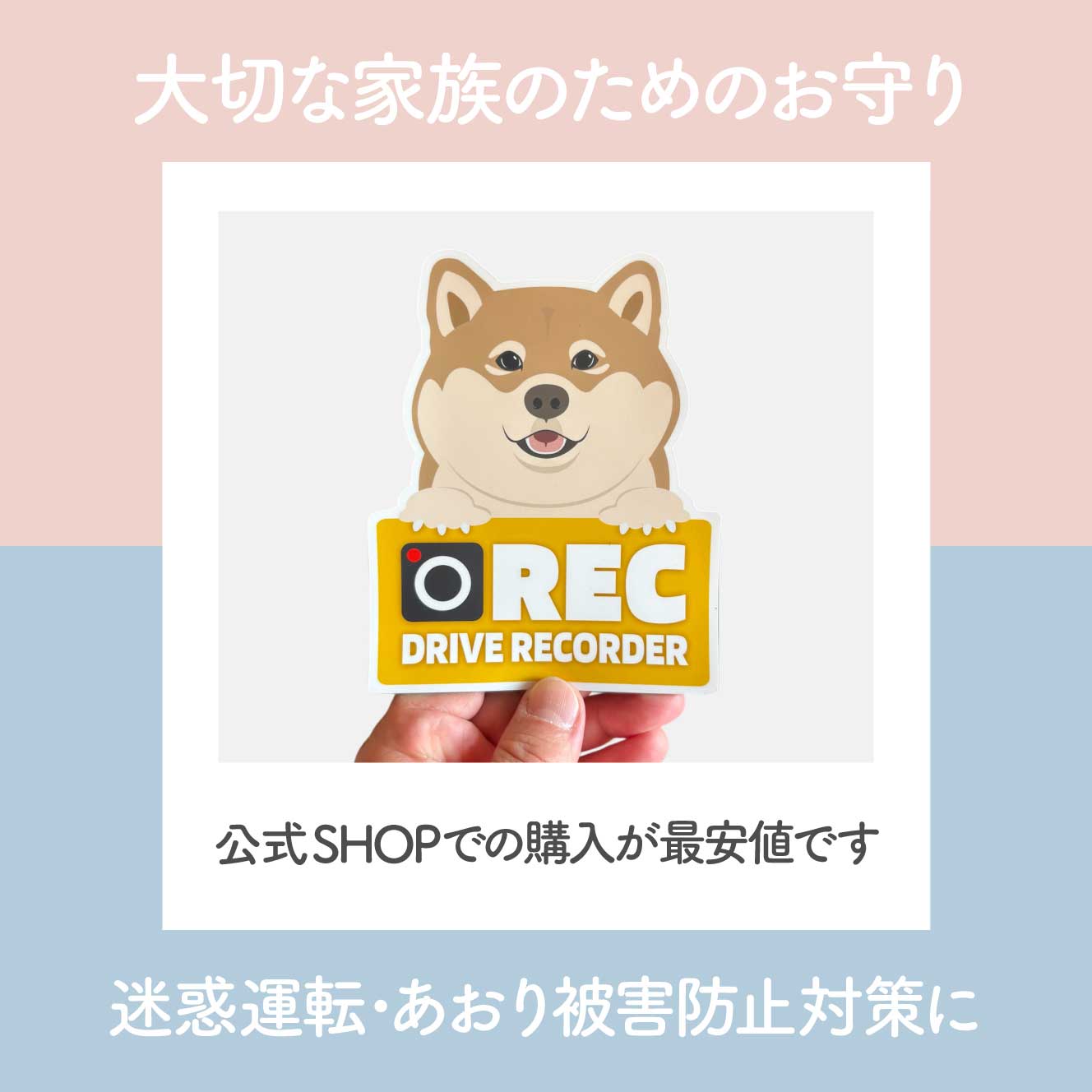 柴犬が6ヶ月で10キロは重すぎ？成長目安と成犬体重を徹底分析