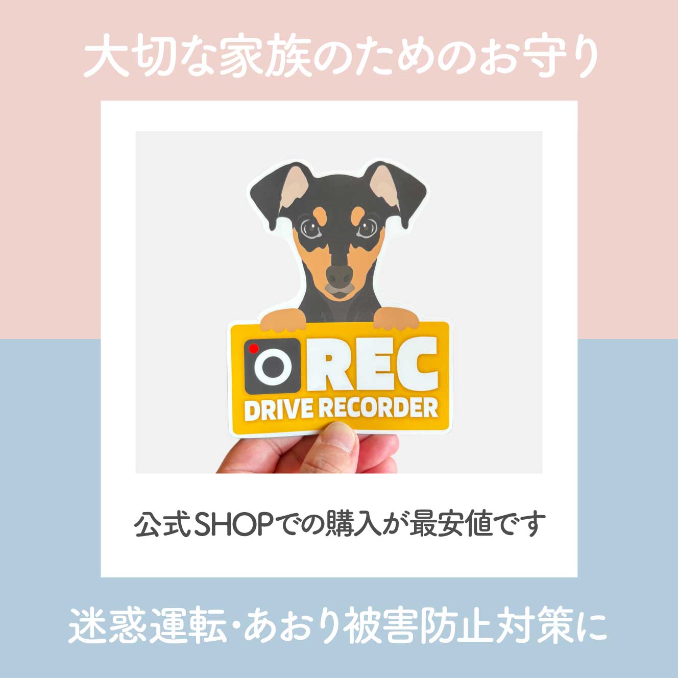 ミニチュアピンシャー