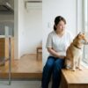 柴犬の散歩に行かないとどうなる？健康リスクと対策を徹底解説