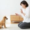 日本犬固有の独立心としつけの難しさ
