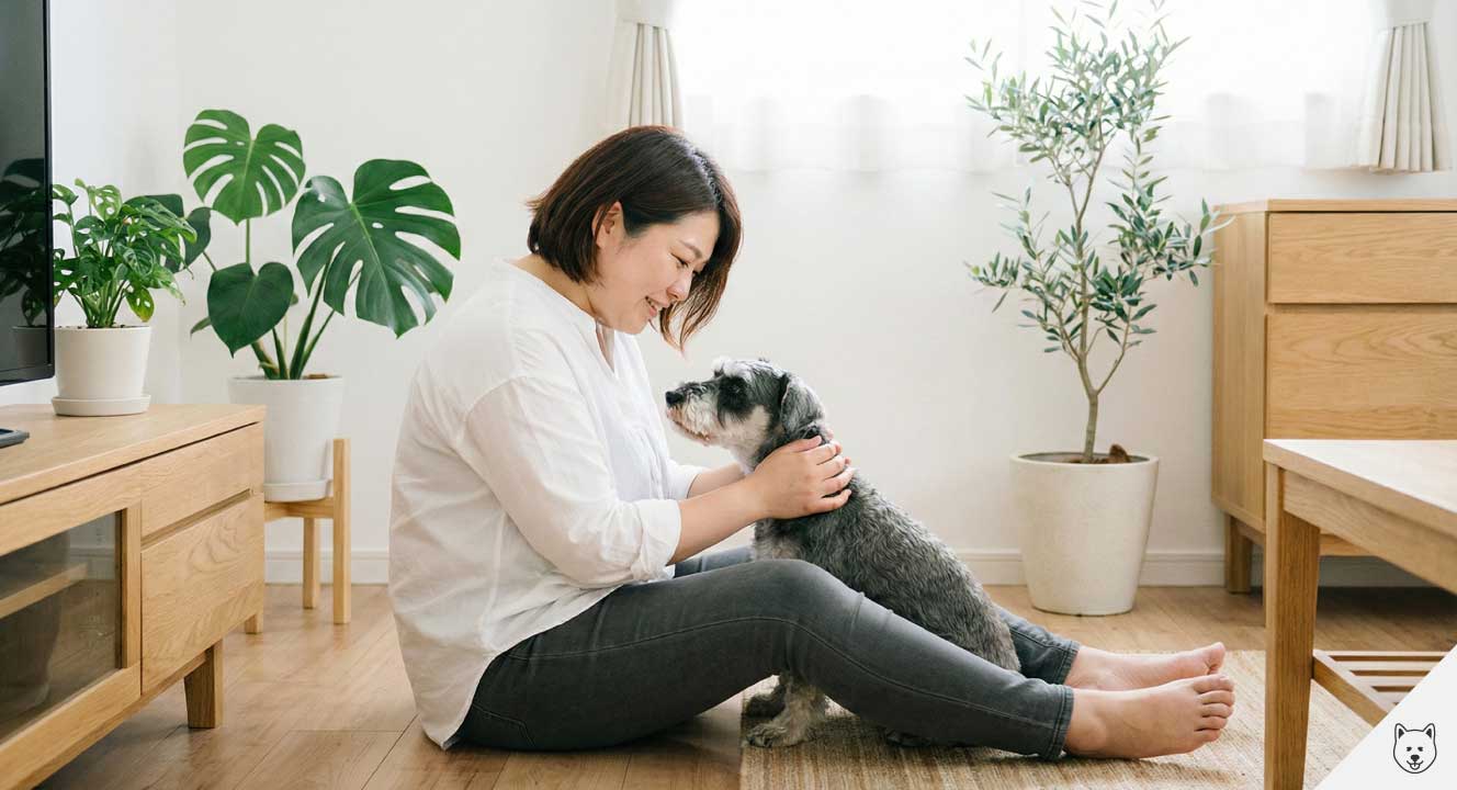 【ミニチュアシュナウザー】後悔を愛着に変える秘訣