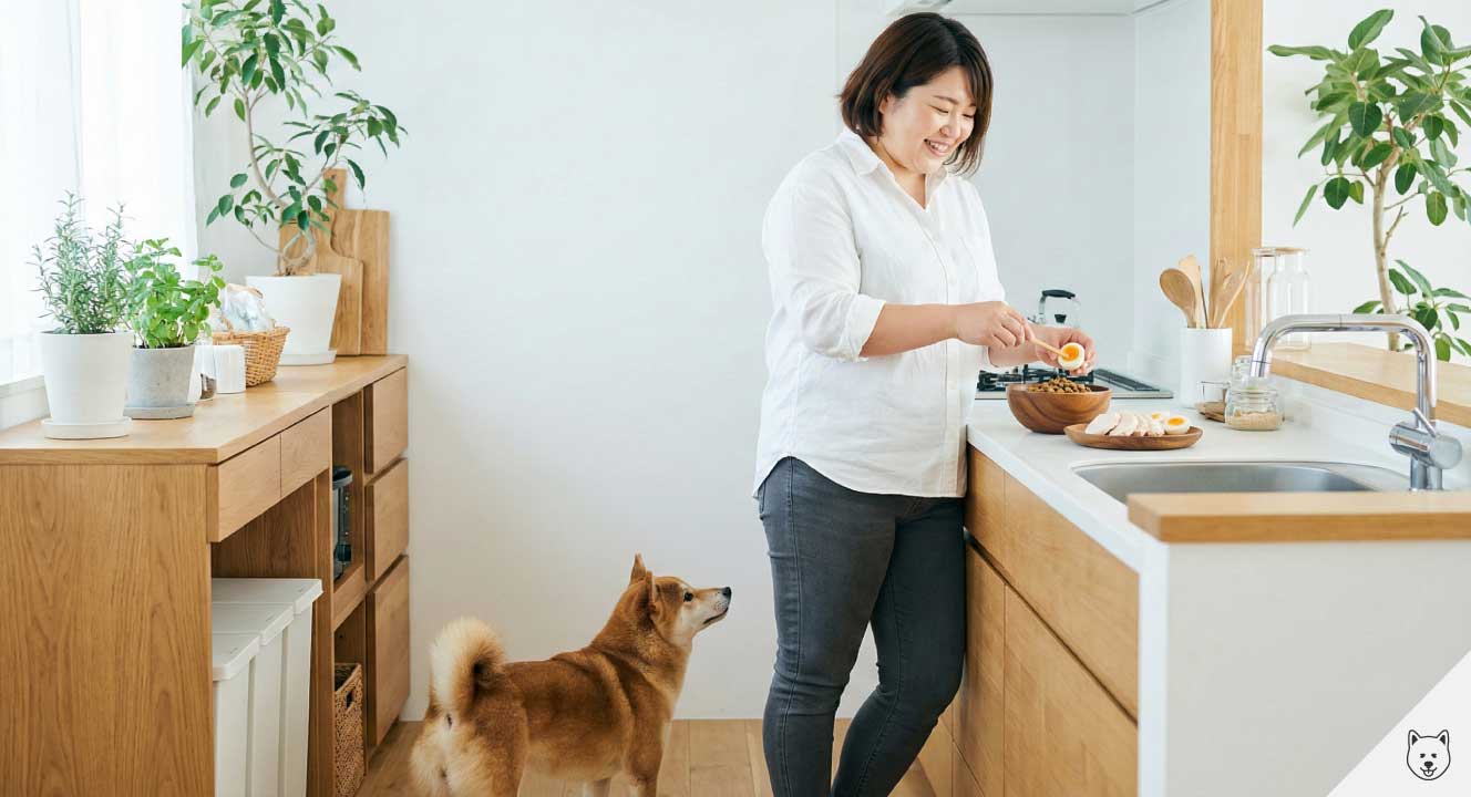 被毛の健康を守る食事と良質なタンパク質の摂取