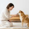 柴犬は飼ってはいけないという概念を壊す飼育術
