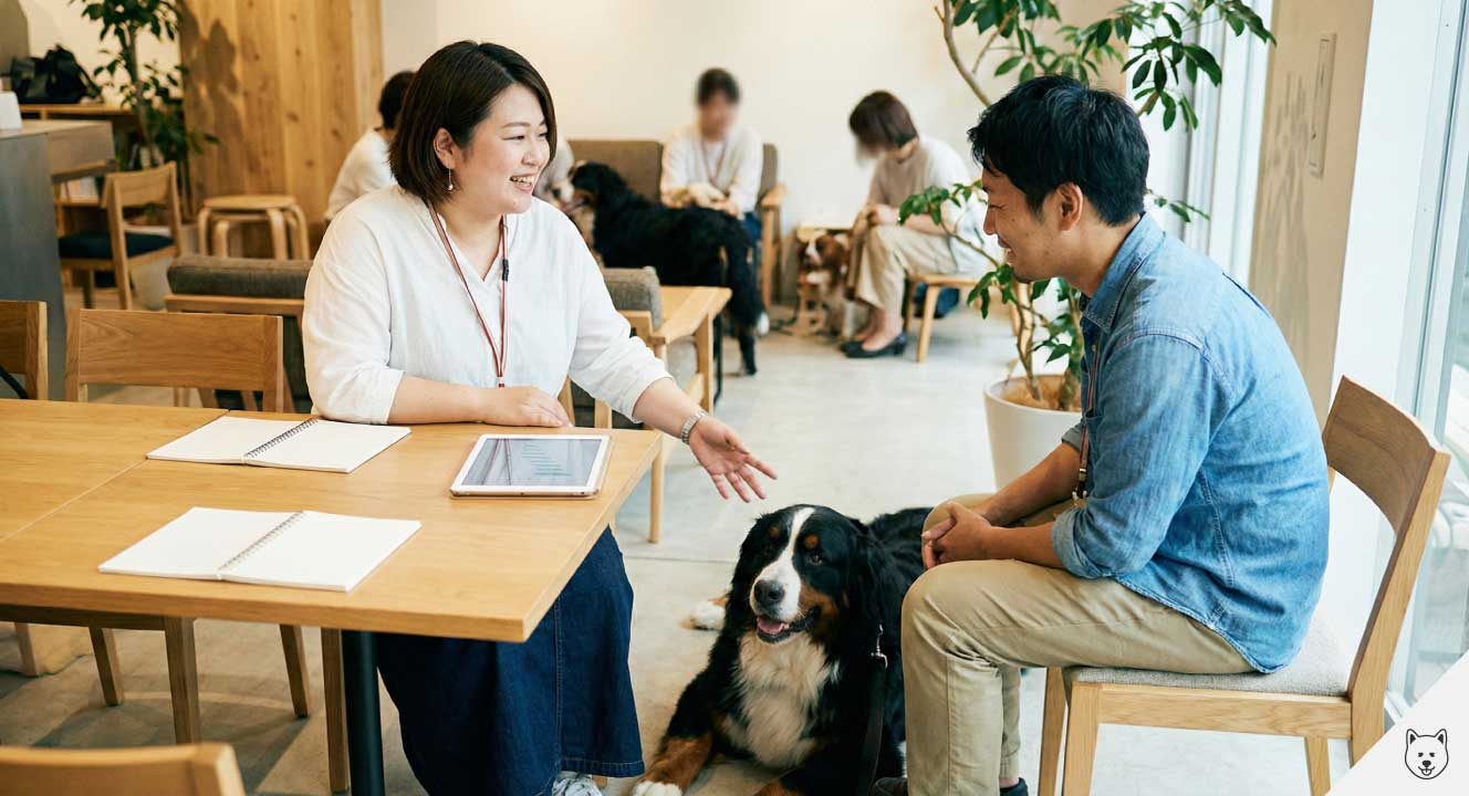 譲渡後も安心できるブリーダーの相談サポート体制