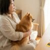 ポメラニアンのオレンジの変化を理解して愛犬を守る