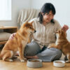 柴犬が成犬になるのはいつから？時期と正しいケアを解説