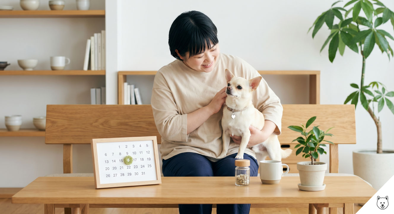 去勢・避妊手術のベストタイミング