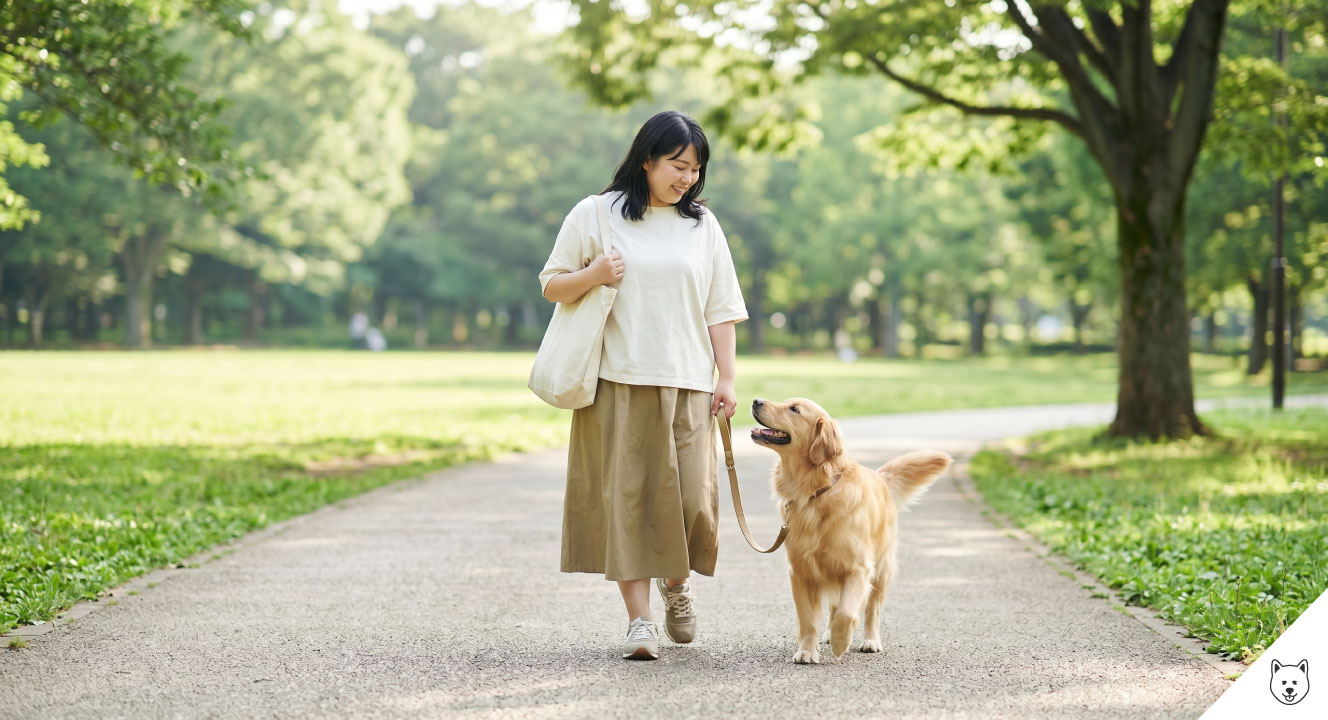 ゴールデンレトリバーの適切な運動量は?1日の散歩時間と健康管理