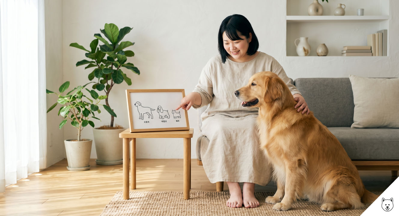 ゴールデンレトリバーは中型犬?大きさと似た犬種を解説