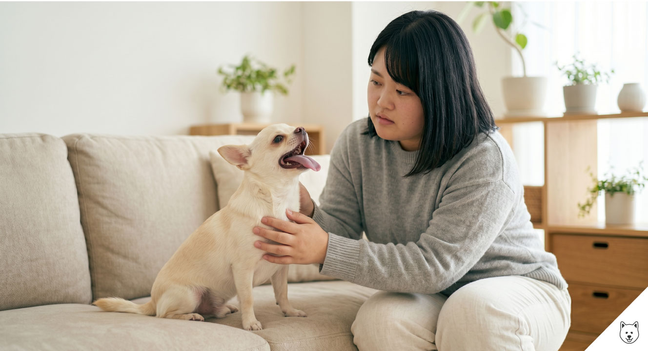心臓病や気管虚脱との関係