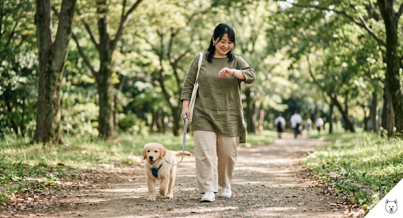 散歩の距離と時間の上手な決め方