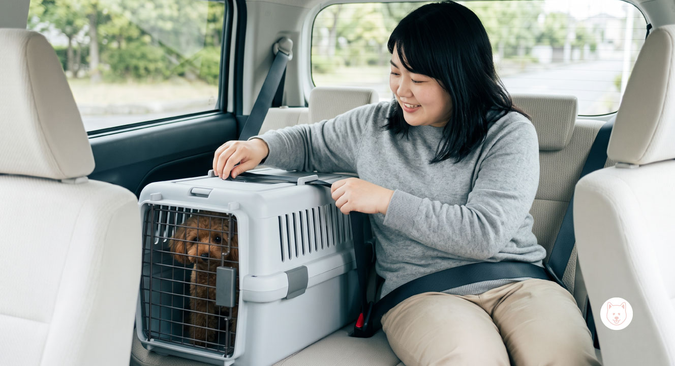 犬用キャリーを車で安全に固定する方法と注意点