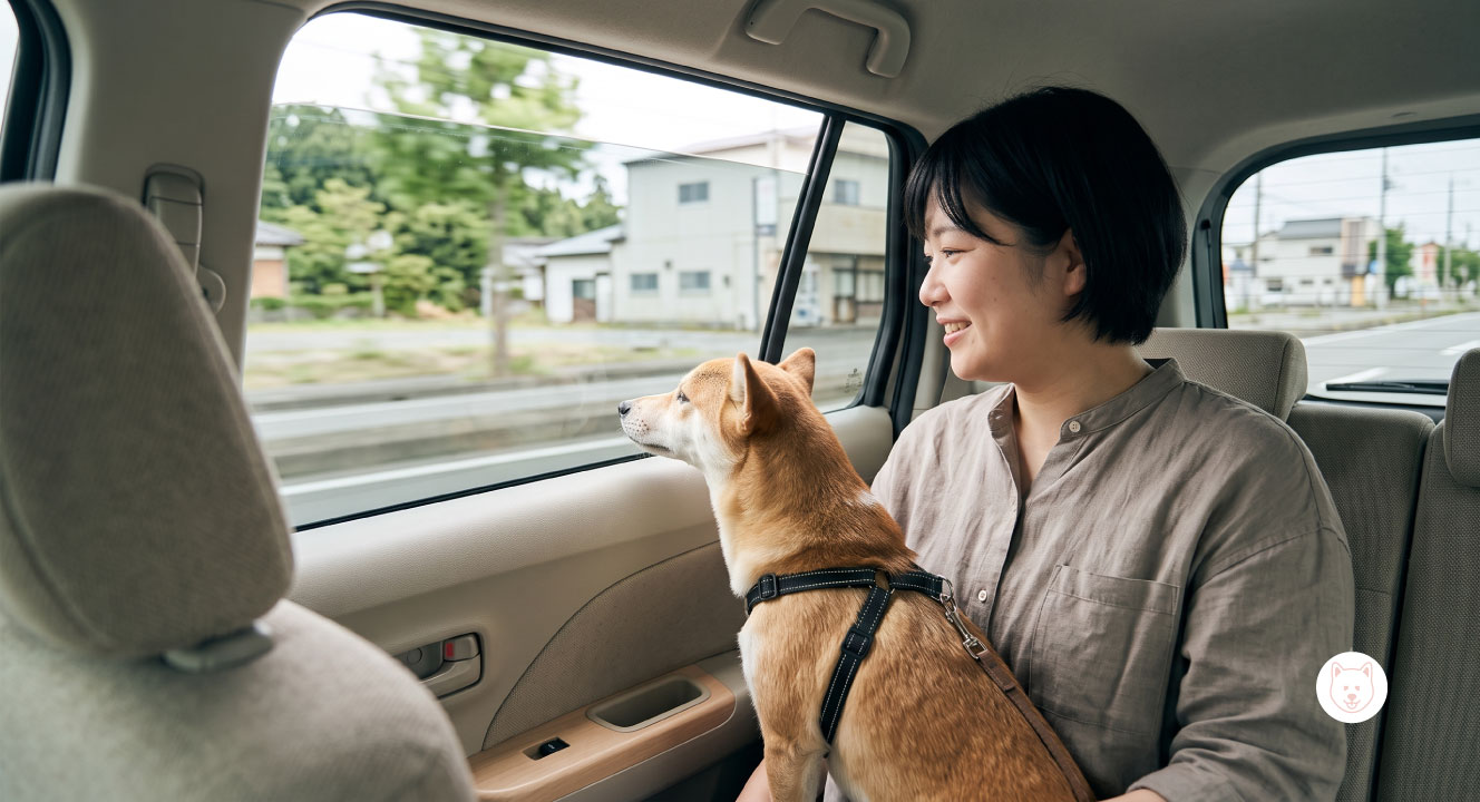 犬が車の窓から顔を出す理由とその危険性