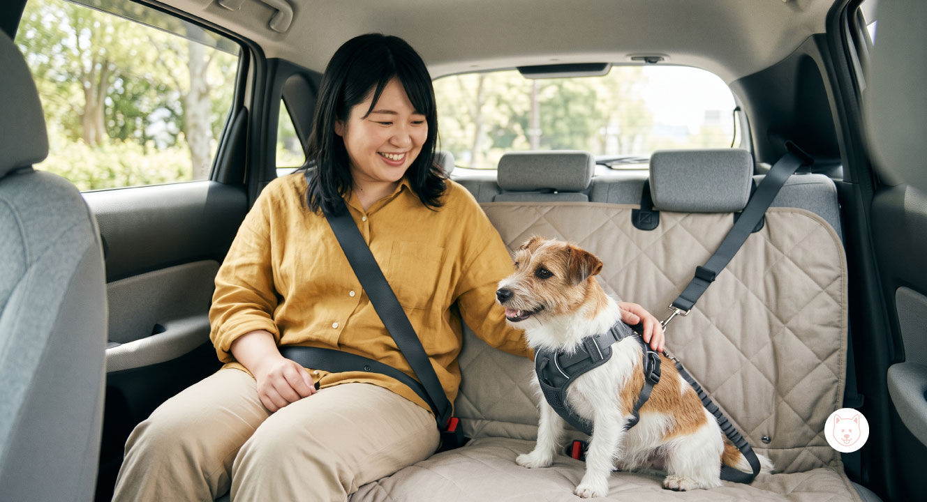 車に犬を乗せる方法｜安全な乗せ方と車酔い対策
