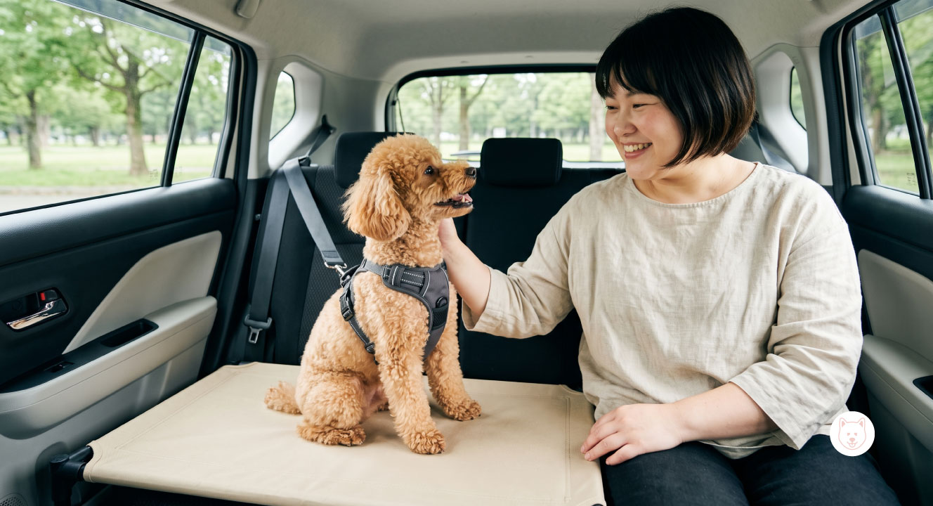 愛犬が後部座席の隙間に落ちるのを防ぐ安全対策