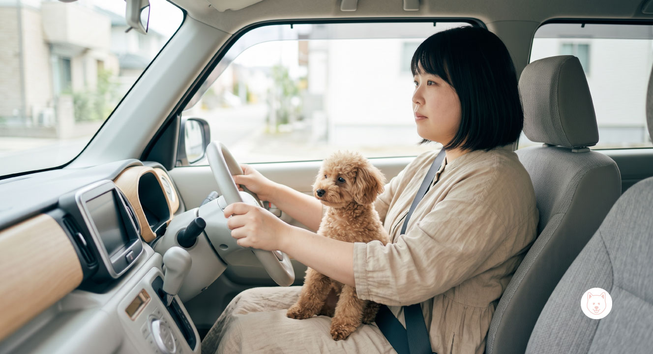 膝の上での運転は違反になる